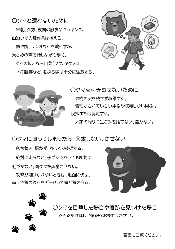 チラシ裏面